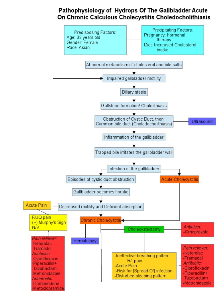 Pathophysiology of Cholecystitis Gallbladder Medicine