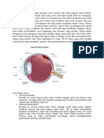 Ablasio Retina