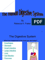 v10CR SMART Simple Organs of The Digestive and Excretory System Upper Grades