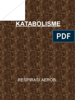 katabolisme-1