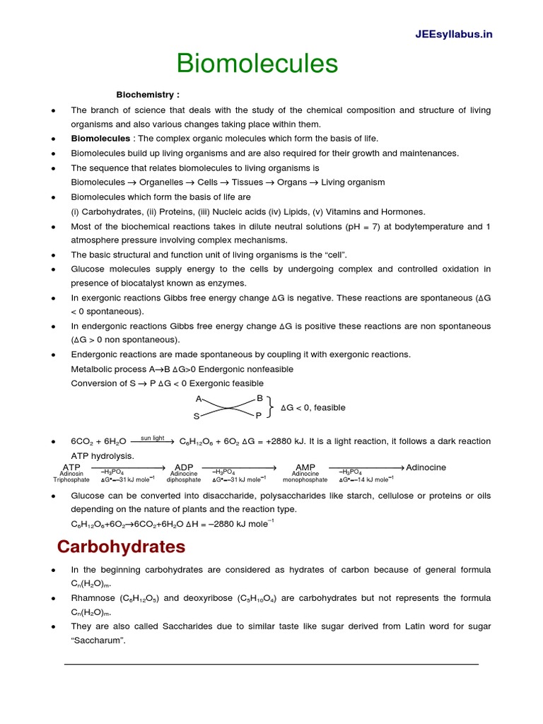 Biomolecules PDF | PDF | Rna | Genetic Code