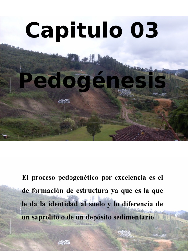 03 Pedogenesis | PDF | Suelo | Ciencia del suelo