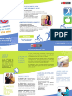 Triptico PDF