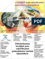 Eficientizarea Învățării Prin Valorificarea Potențialului Mental Biemisferic