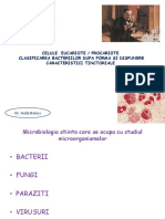 Curs 1 AMpdf PDF