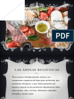 Aminas-biogénicas.pptx