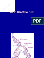 Replikacija DNK 1