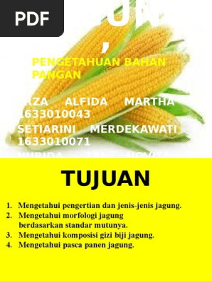 Jagung Ppt