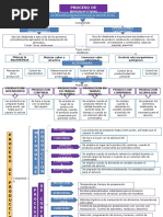 MAPA PRODUCCION p.pptx