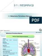 Bab 1 (Respirasi)