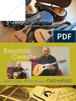 Bandola Llanera Celeste - Promoción 2016