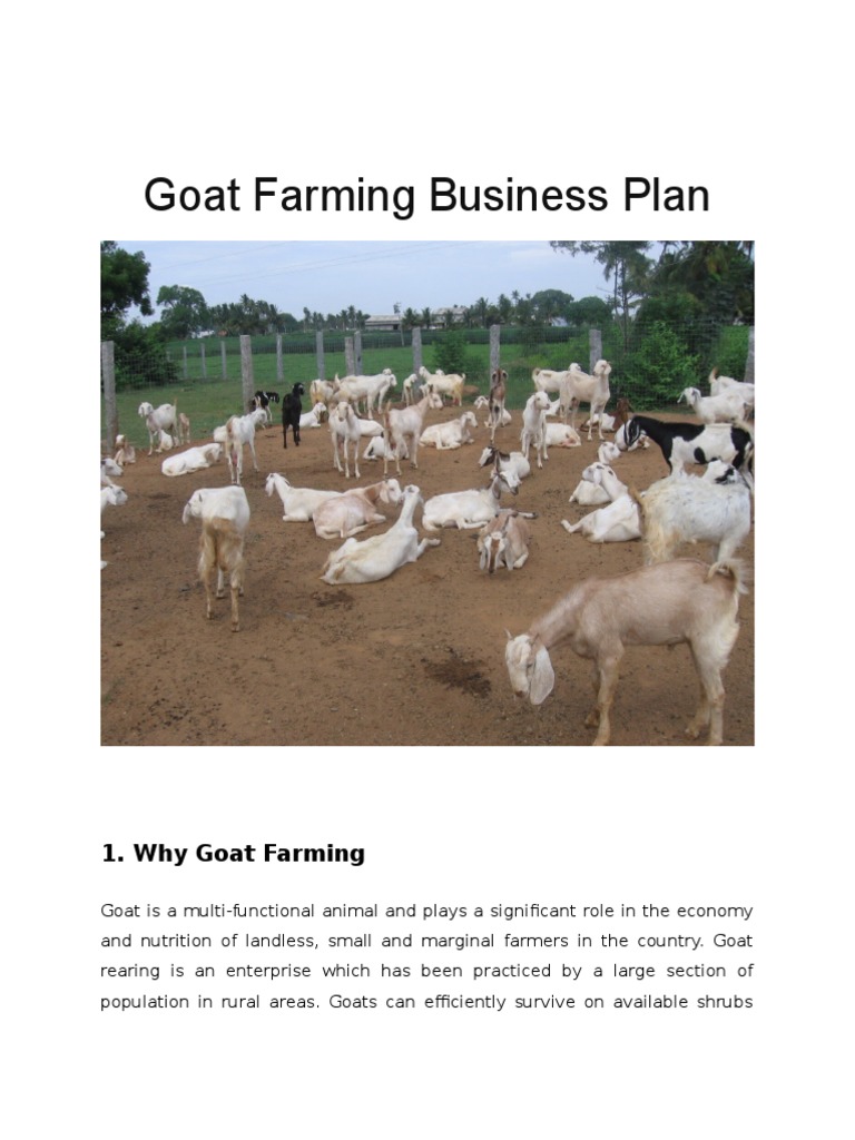 Goat Farming Project Report Goat Legume