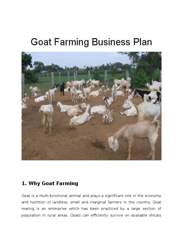 research paper on goat farming