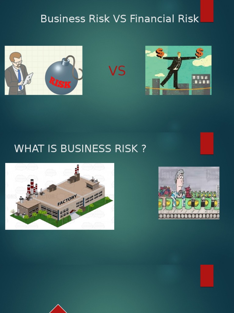 What Is Financial Risk | PDF