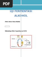 Download MAKALAH FERMENTASI ALKOHOLdocx by Adzra SN340009803 doc pdf