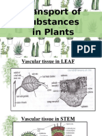 Transportation of Substances in Plant