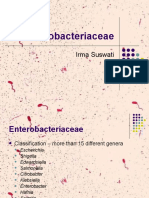 Enterobacteriaceae