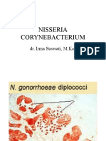 Gram Stain Reveals Corynebacterium "Chinese Letters