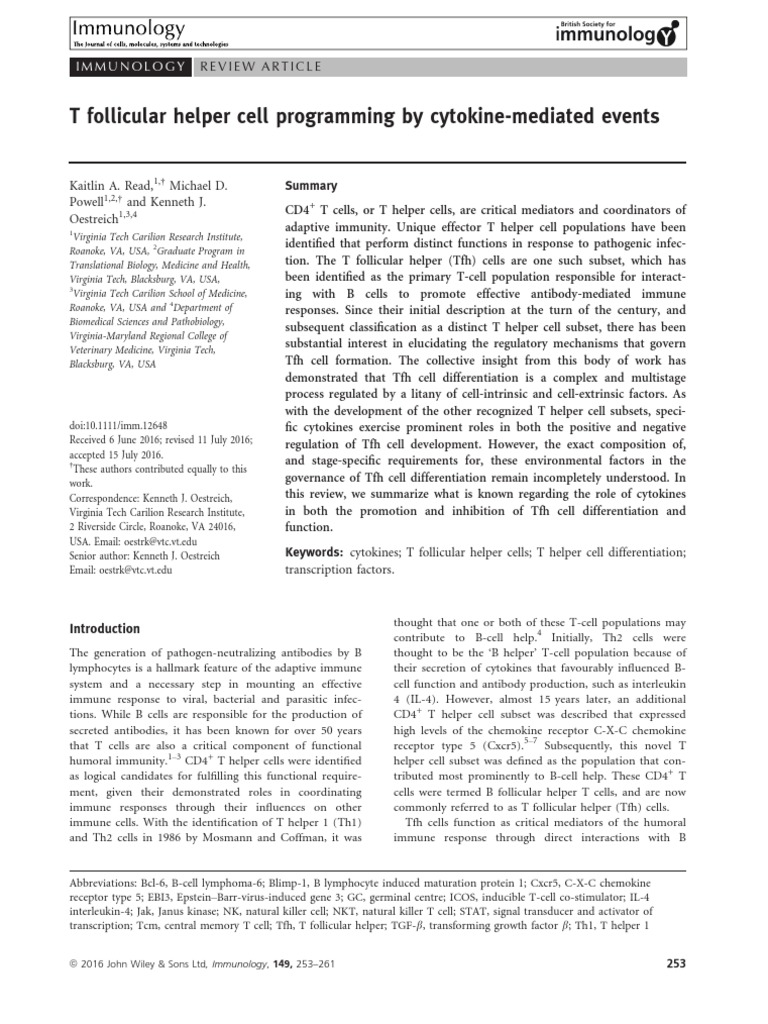 Cytokine Influence on T Follicular Helper Cells | PDF | Interleukin 12 ...