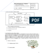 Ficha-de-avaliacao-de-CN-8Âº-Ano-factores-abioticos-e-bioticos-fluxo-de-energia-e-ciclo-de-materia.pdf