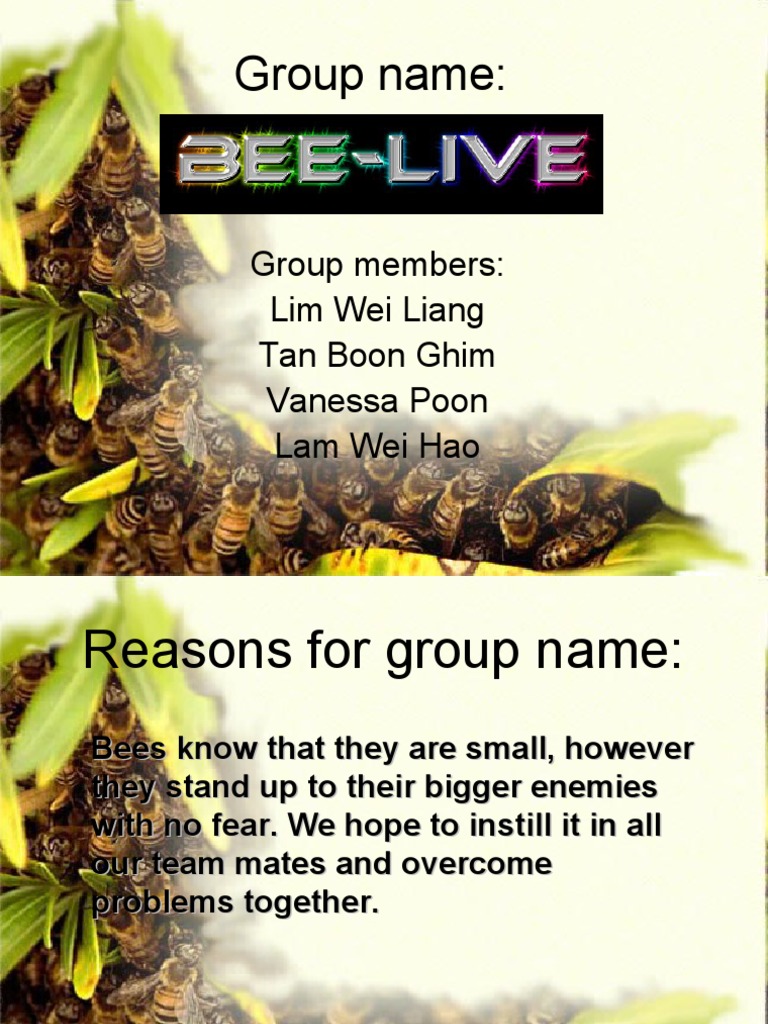 Teamwork and Cooperation: Our Bee Motto | PDF