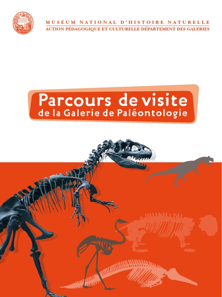 200 dinosaures et autres animaux préhistoriques - spirale - Jean