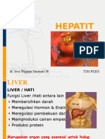 Persentasi Hepatitis