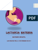 Lactancia Materna PDF