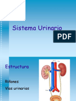 S.urinario (Salud)