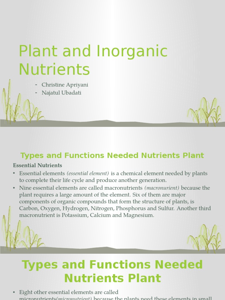 Unit 4 Plant and Nutrients Plant Nutrition Nutrients
