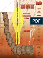 PhD Thesis R Toonssen