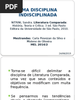  Uma Disciplina Indisciplinada - Nitrini Sandra - Literatura Comparada Historia