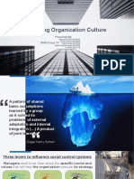 Shaping Organization's Culture - 1