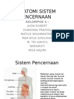 Anatomi Sistem Pencernaan Kelompok 4
