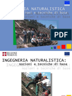 Manuale Ingegneria Nat PDF