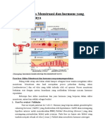 Menstruasi dan Hormone