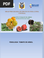 El Tomate de Arbol
