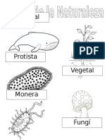 Reinos de La Naturaleza