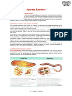 Aparato Escretor PDF