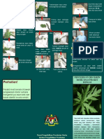 Brochure Daun Betik To Hospitals 110215