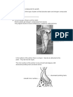 Plant_1.pdf