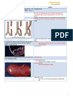 Test Bank On GI Pathology