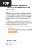 Download Peranan Dan Fungsi Hutan Bakau Mangrove by Puput Handri Trisnanto SN340085002 doc pdf