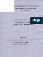 COTN-Raport audit an 2013.pdf