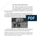 African and Asian Elephants