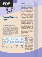 FunctionTests Brochure PDF