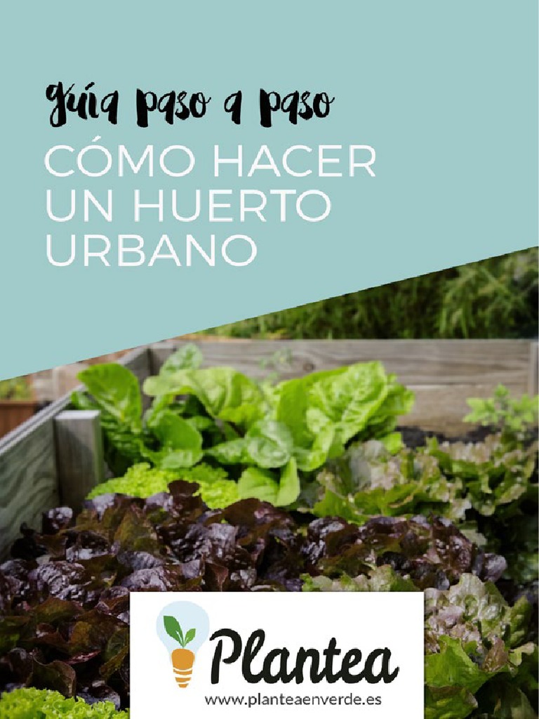 Espinaca En Hidroponia Youtube