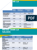 Metas Salada 2017 2