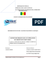 Mémoire BADIANE Cheikh PDF PDF