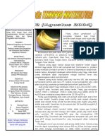 Buletin Teknopro - Pisang PDF